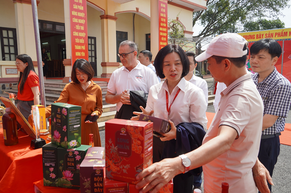 Hoạt động 4